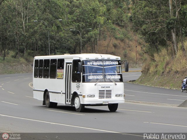 Coop. de Transporte La Candelaria 98 por Pablo Acevedo