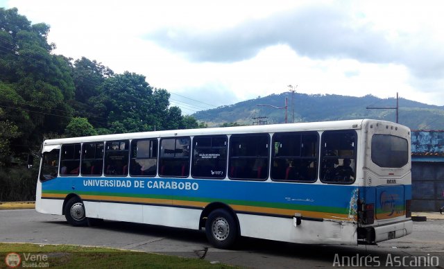 Universidad de Carabobo 003 por Andrs Ascanio