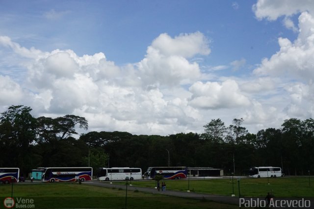 Expresos Occidente Gua 2019 55 por Pablo Acevedo