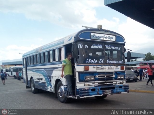 Transporte Colectivo Palo Negro 10 por Aly Baranauskas