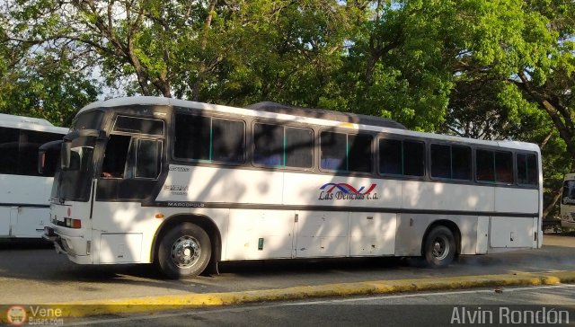 Transporte Las Delicias C.A. E-07 por Alvin Rond�n