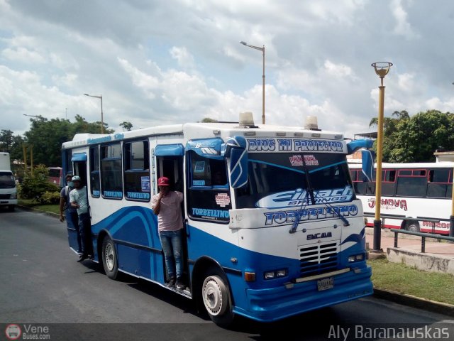 CA - Asociacin de Transporte Palmival 81 por Aly Baranauskas