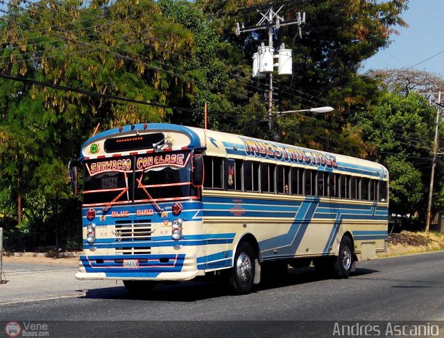 A.C. de Transporte Santa Ana 21 por Andrs Ascanio