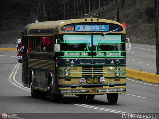 Transporte Agua Blanca 65 por Pablo Acevedo