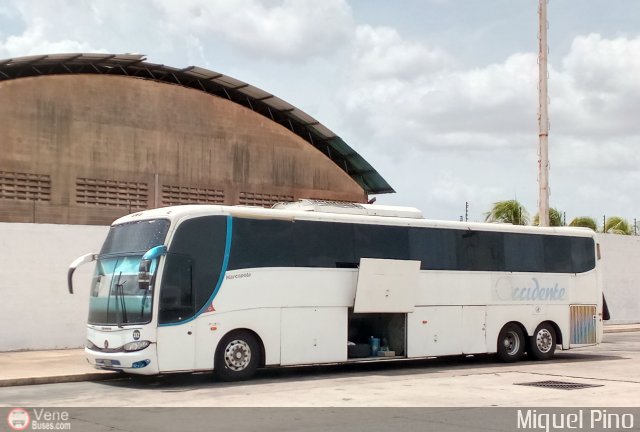 Expresos Occidente 312 por Miguel Pino