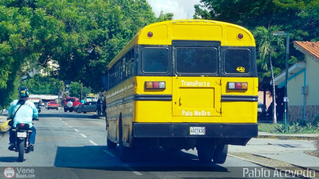 Transporte Colectivo Palo Negro 44 por Pablo Acevedo