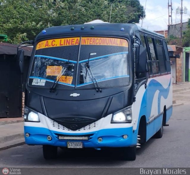 TA - A.C. L�nea Intercomunal 37 por Jerson Nova