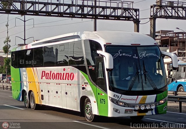 Expreso Internacional Palomino 679 por Leonardo Saturno