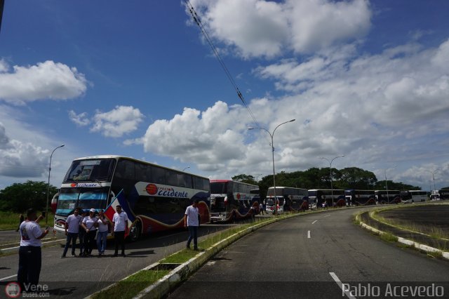 Expresos Occidente Gua 2019 42 por Pablo Acevedo