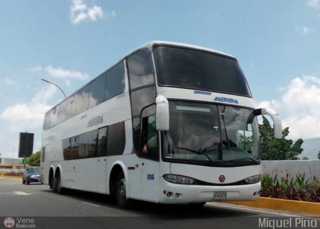 Expresos M�rida 0256 por Miguel Pino