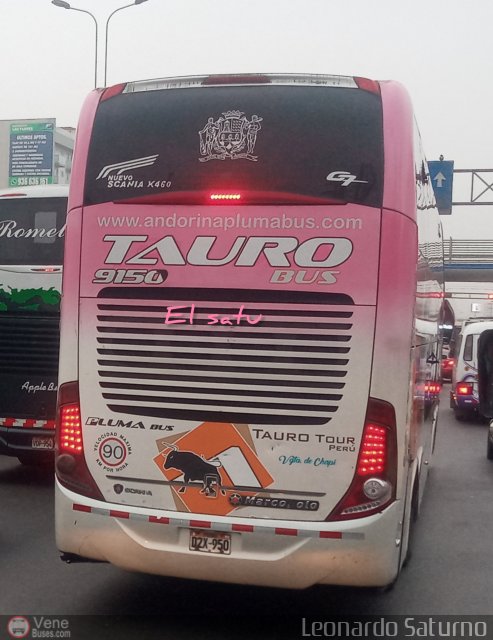 Transportes Tauro Bus 9150 por Leonardo Saturno