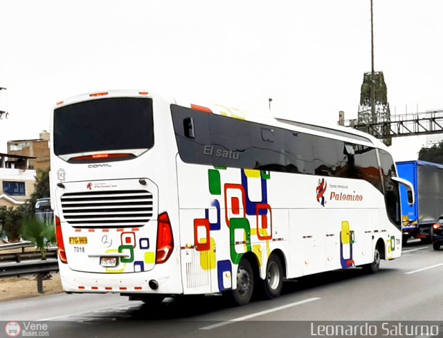 Expreso Internacional Palomino 7018 por Leonardo Saturno