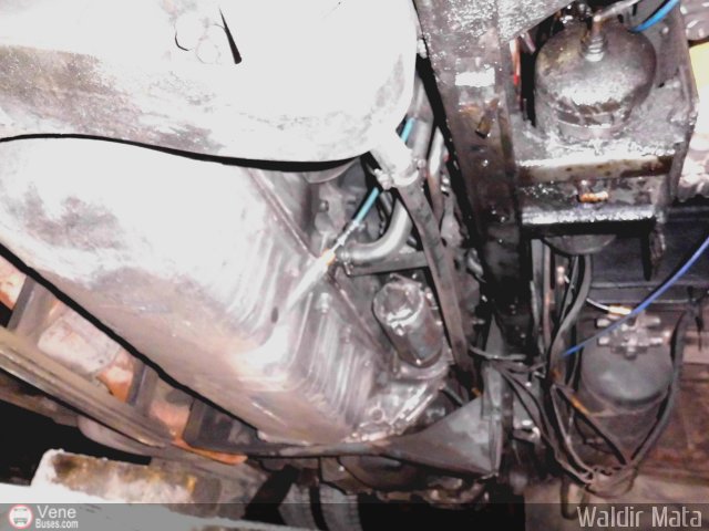 Particular o Desconocido 0343 por Waldir Mata