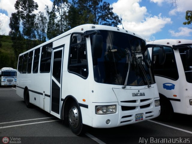 Particular 25 por Aly Baranauskas