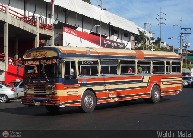 Transporte Unido 019 por Waldir Mata