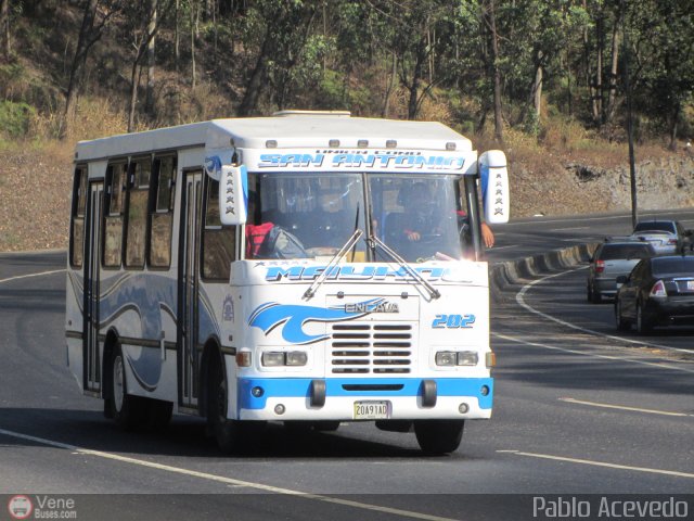 U.C. San Antonio S.C. 202 por Pablo Acevedo