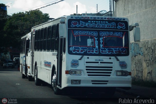 Expresos Pegamar 0006 por Pablo Acevedo