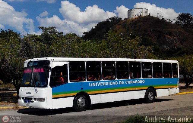 Universidad de Carabobo 003 por Andrs Ascanio