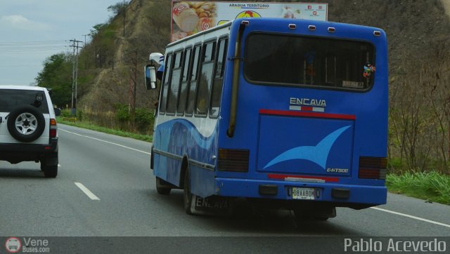 Particular o Desconocido 08A por Pablo Acevedo