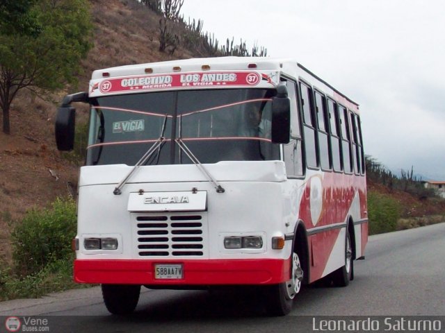 Colectivo Los Andes 37 por Leonardo Saturno