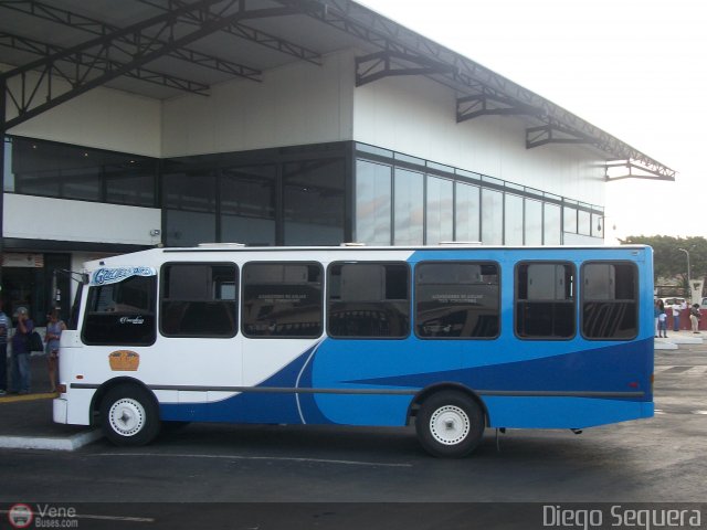 Transporte Virgen del Carmen 39 por Diego Sequera