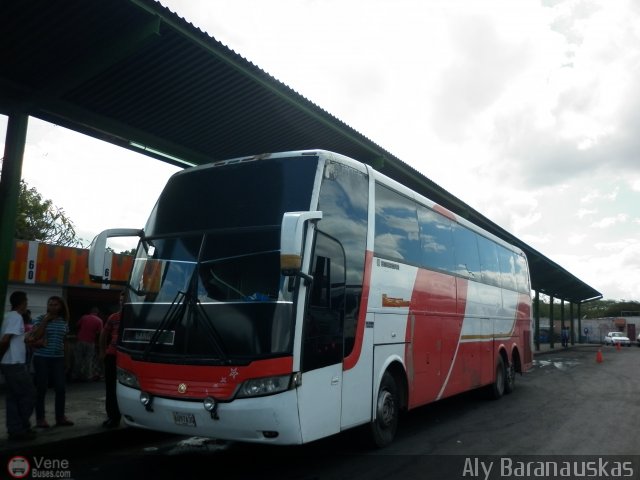 Particular o Desconocido 2016 por Aly Baranauskas