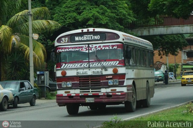 Uni�n Magdaleno A.C. 31 por Pablo Acevedo