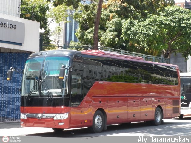 Particular NO USAR M�S 1000 por Aly Baranauskas