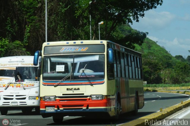 Transporte Unido 052 por Pablo Acevedo