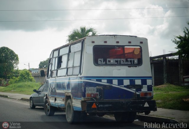 Particular o Desconocido Higuerote por Pablo Acevedo