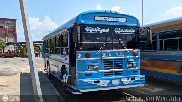 U.L.A.P. Machiques Maracaibo 42 por Sebasti�n Mercado