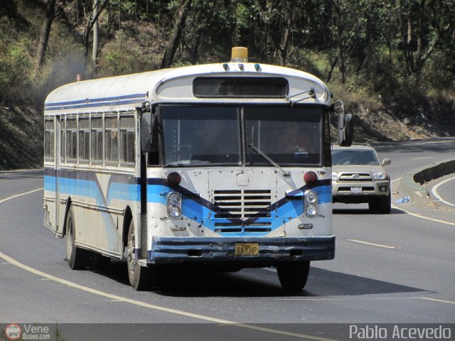 Universidad Sim�n Bol�var 07 por Pablo Acevedo