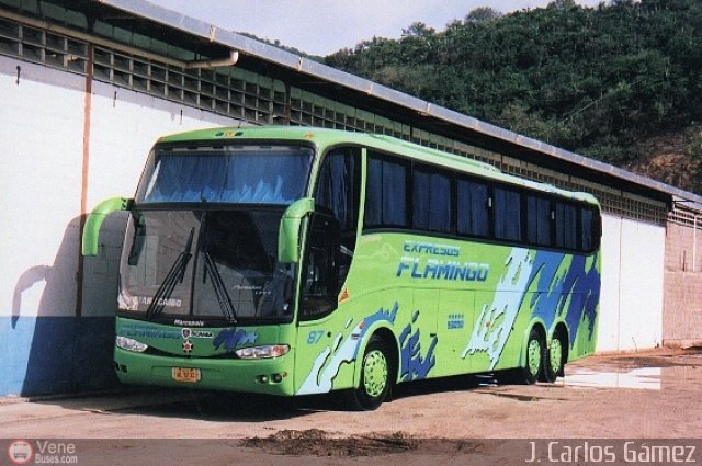 Expresos Flamingo 87 por J. Carlos Gmez