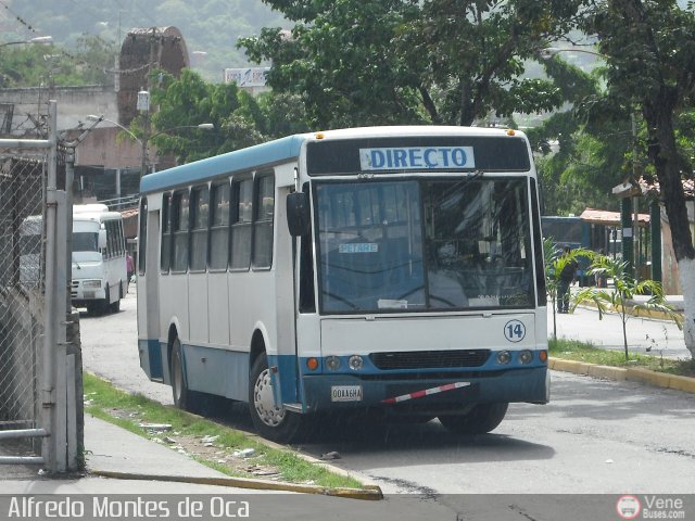 Colectivos Valle de Pacairigua 014 por Alfredo Montes de Oca