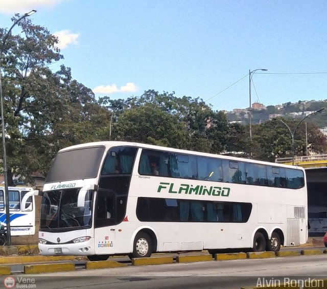 Expresos Flamingo 0141 por Alvin Rond�n