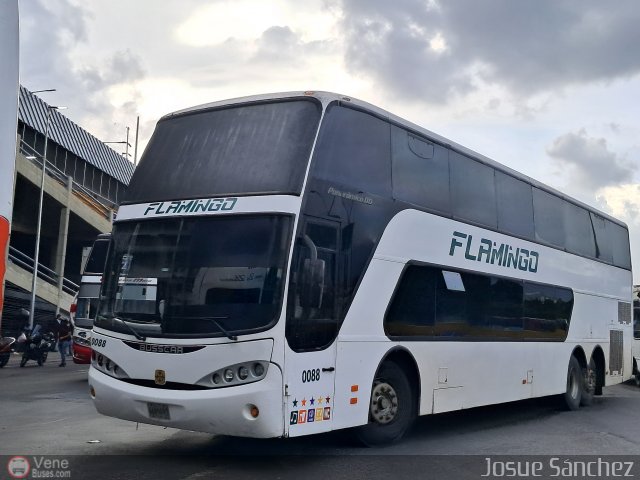 Expresos Flamingo 0088 por Josue S�nchez