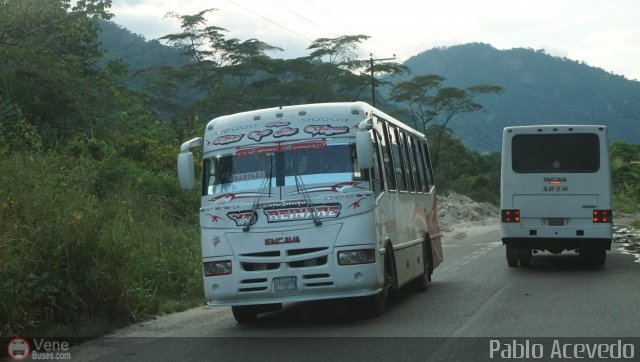 A.C. Expresos Barinas 014 por Pablo Acevedo