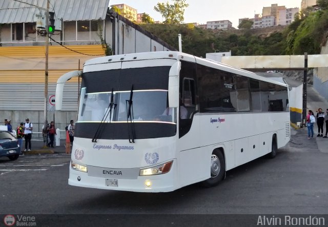 Expresos Pegamar 0016 por Alvin Rond�n