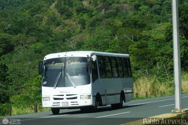 Expresos Cojedes 03 por Pablo Acevedo