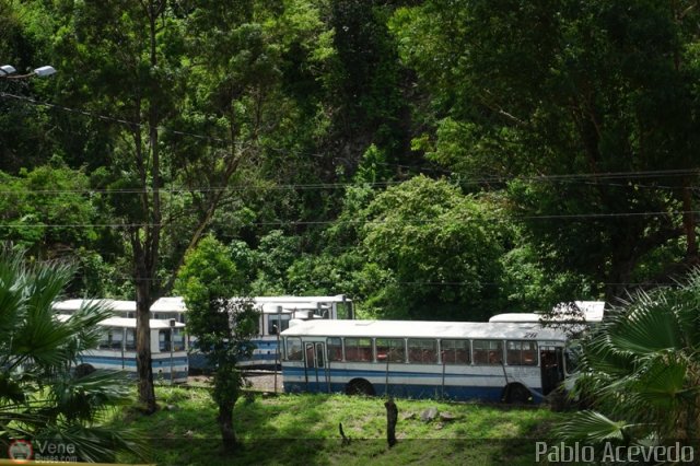 En Chiveras Abandonados Recuperacin  por Pablo Acevedo