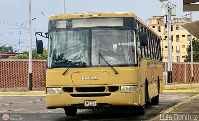 Universidad de Oriente 22 por Luis Ben�tez