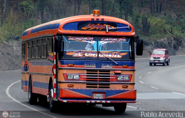 Colectivos Altagracia 15 por Pablo Acevedo