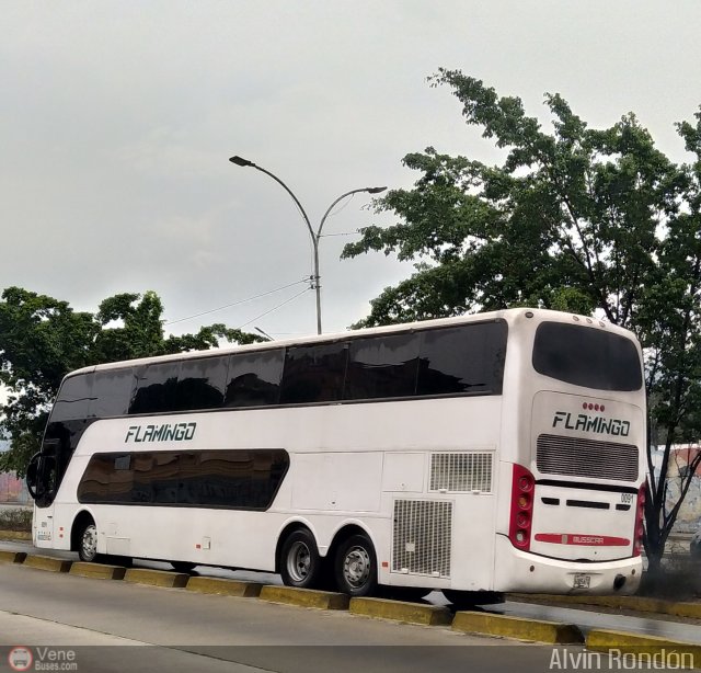 Expresos Flamingo 0091 por Alvin Rondn