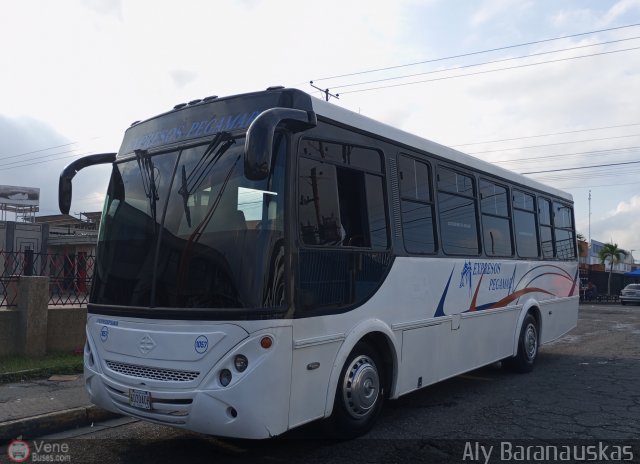 Expresos Pegamar 1057 por Aly Baranauskas