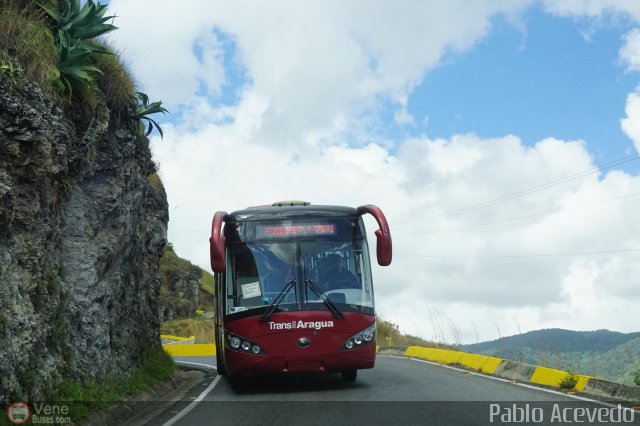 TransAragua S.A. 01 por Pablo Acevedo