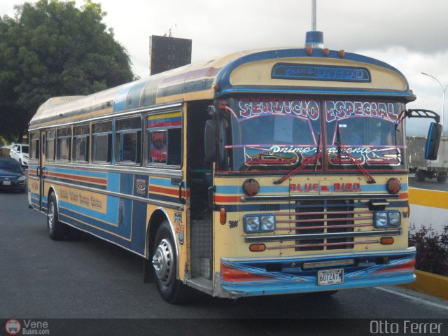 Transporte Unido 026 por Otto Ferrer