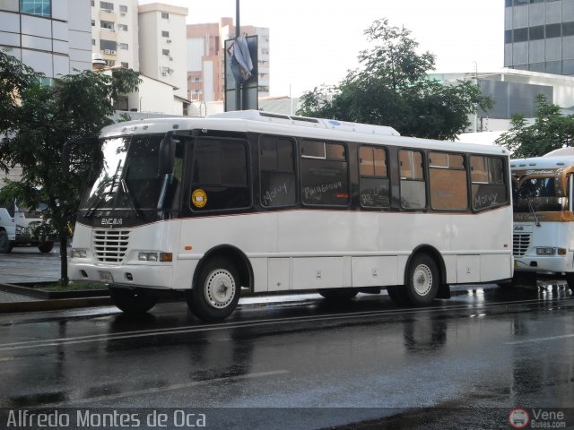 U.C. Falcón Zulia 00 por Alfredo Montes de Oca