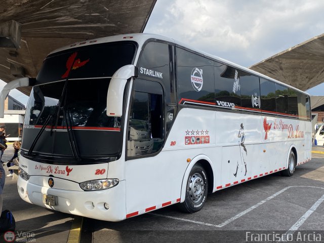 Los P�jaros de Lara 020 por Francisco Arcia