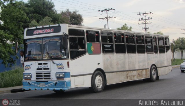 Transporte Guacara 0126 por Andrs Ascanio