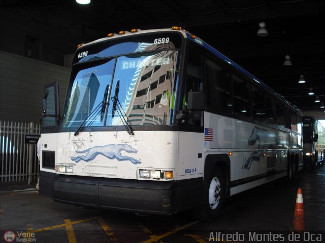 Greyhound 6599 por Alfredo Montes de Oca